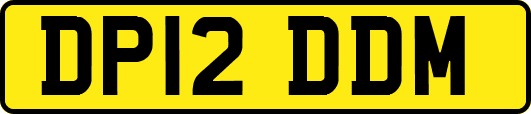 DP12DDM