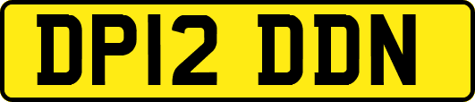 DP12DDN