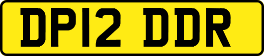 DP12DDR