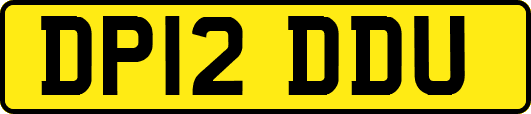 DP12DDU