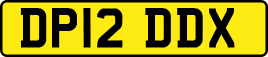 DP12DDX