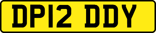 DP12DDY