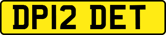 DP12DET