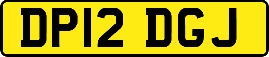 DP12DGJ