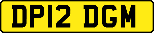 DP12DGM