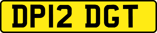 DP12DGT