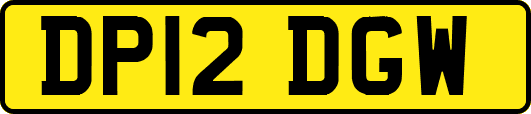 DP12DGW