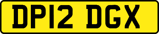 DP12DGX