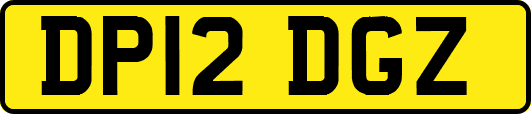 DP12DGZ
