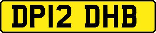 DP12DHB