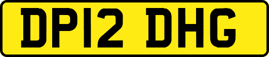 DP12DHG