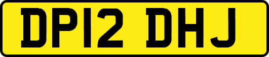 DP12DHJ