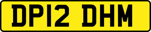 DP12DHM