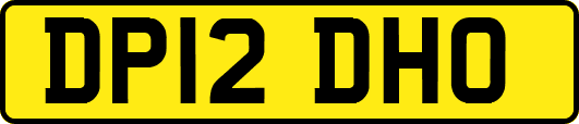 DP12DHO