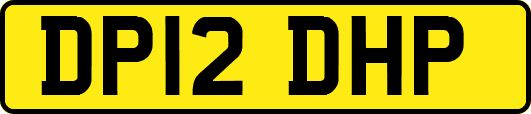 DP12DHP