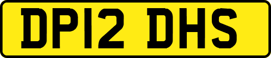 DP12DHS