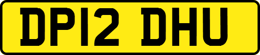 DP12DHU