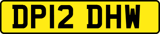 DP12DHW