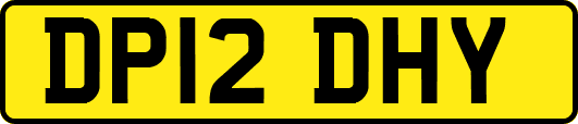 DP12DHY