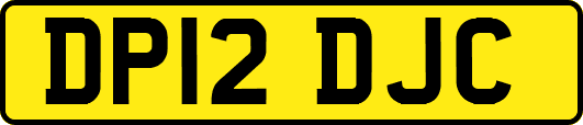 DP12DJC