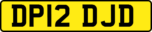 DP12DJD