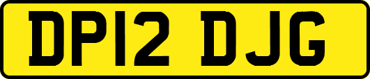 DP12DJG
