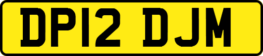DP12DJM