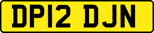 DP12DJN