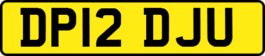 DP12DJU