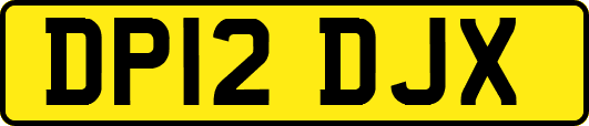 DP12DJX