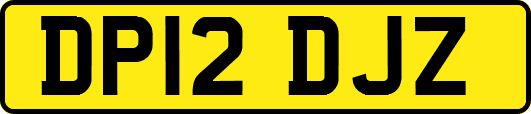 DP12DJZ