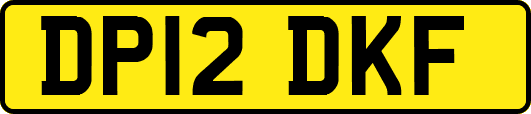 DP12DKF