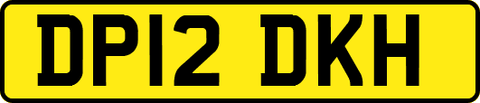 DP12DKH