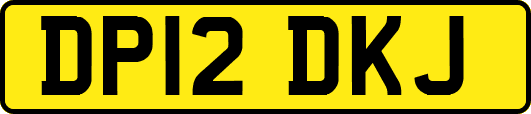 DP12DKJ