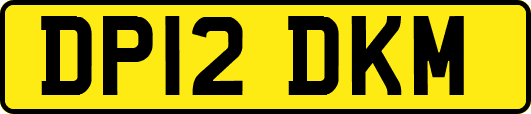 DP12DKM
