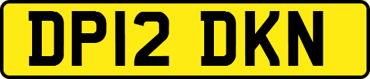 DP12DKN