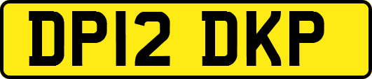 DP12DKP