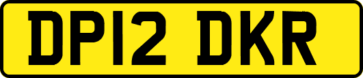 DP12DKR