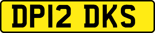 DP12DKS