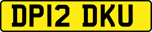 DP12DKU
