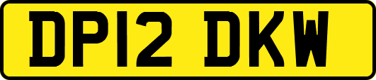 DP12DKW