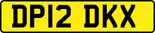 DP12DKX