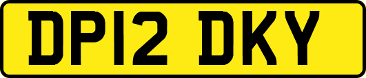 DP12DKY