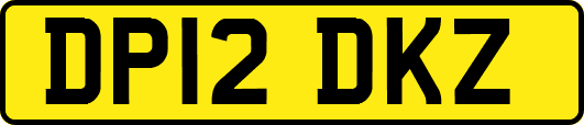 DP12DKZ
