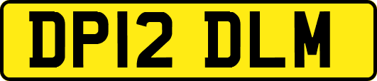 DP12DLM