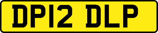 DP12DLP