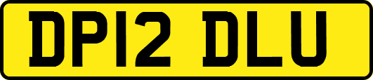 DP12DLU