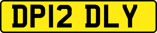 DP12DLY