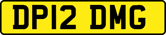 DP12DMG