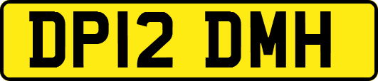 DP12DMH